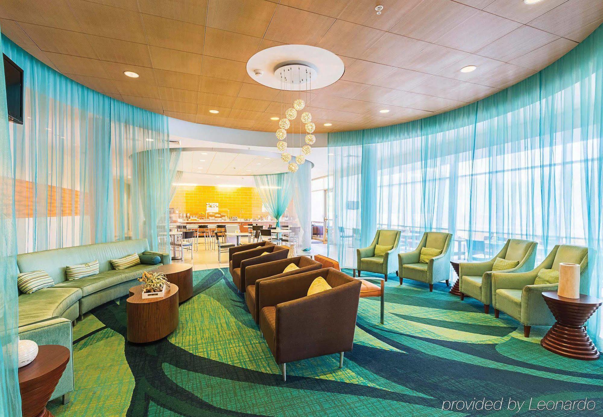 Springhill Suites Tampa North/Tampa Palms Exterior photo
